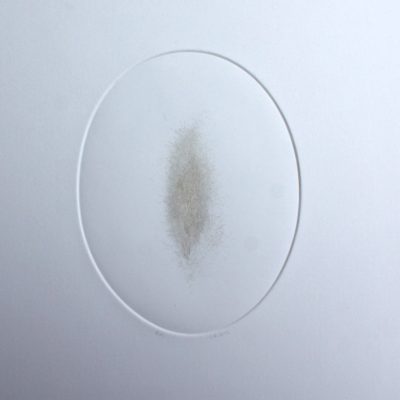 GladysBregeon_Blanche