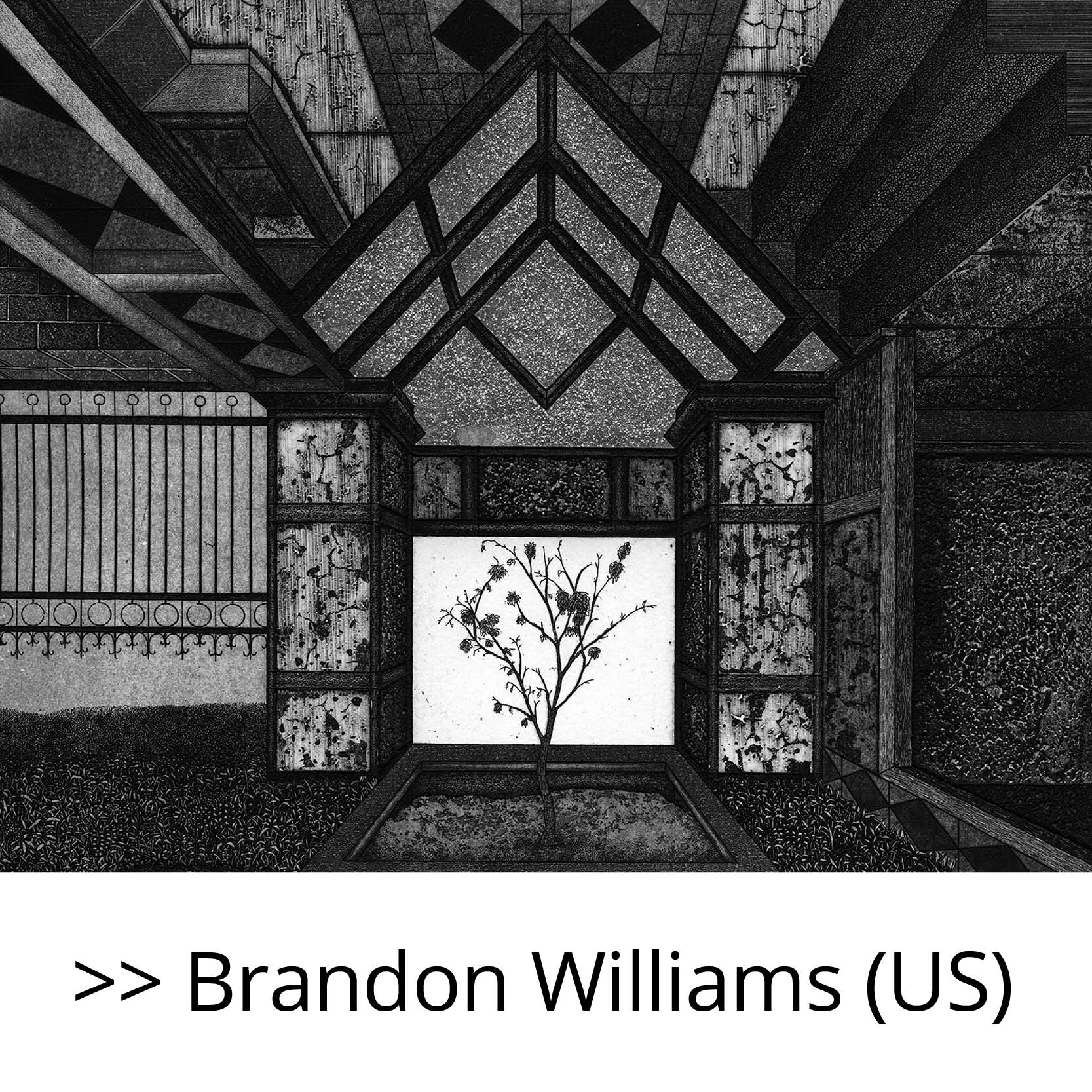Brandon_Williams_(US)