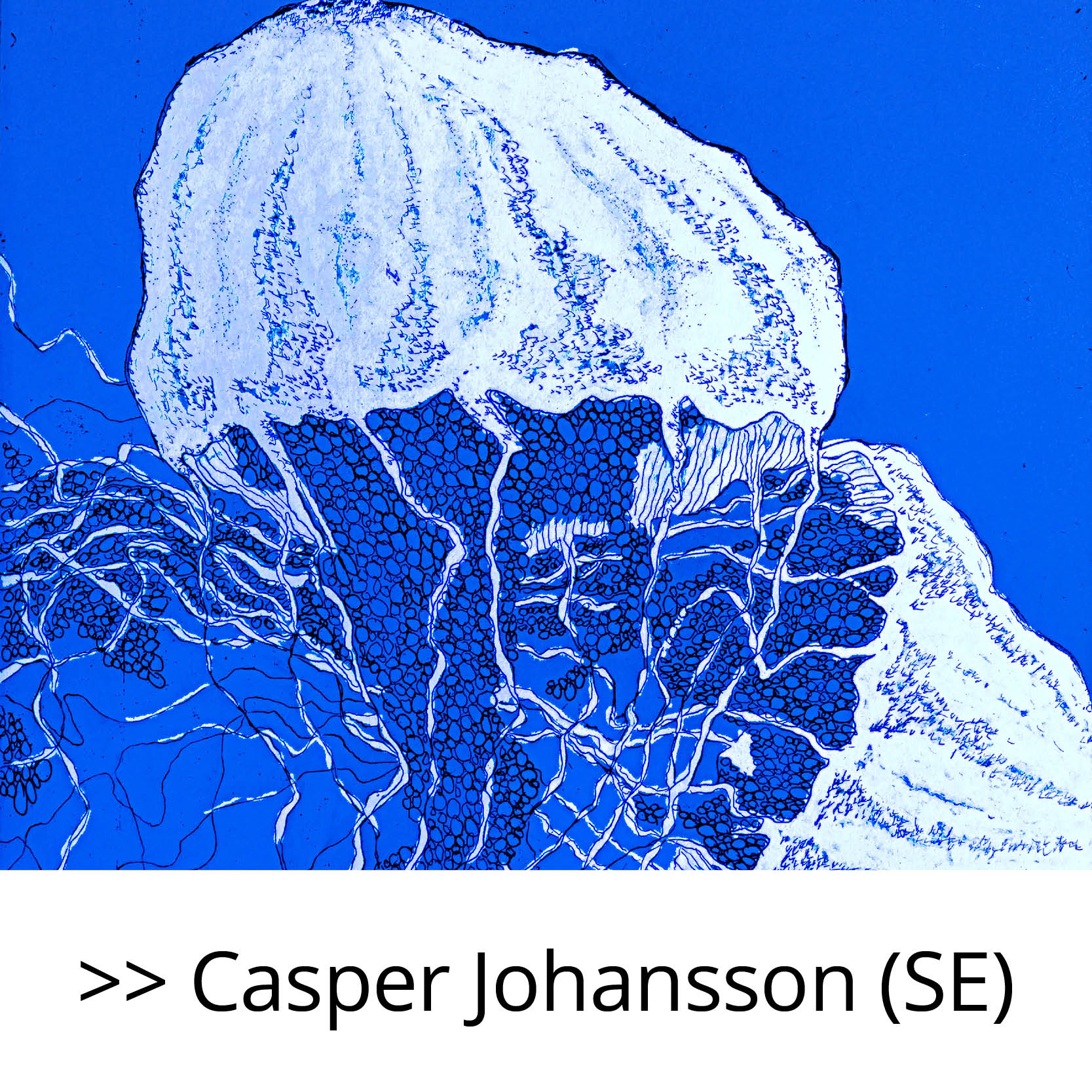 Casper_Johansson_(SE)