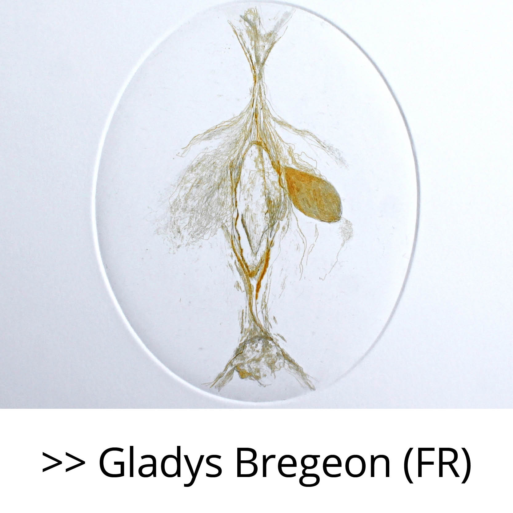 Gladys_Bregeon_(FR)
