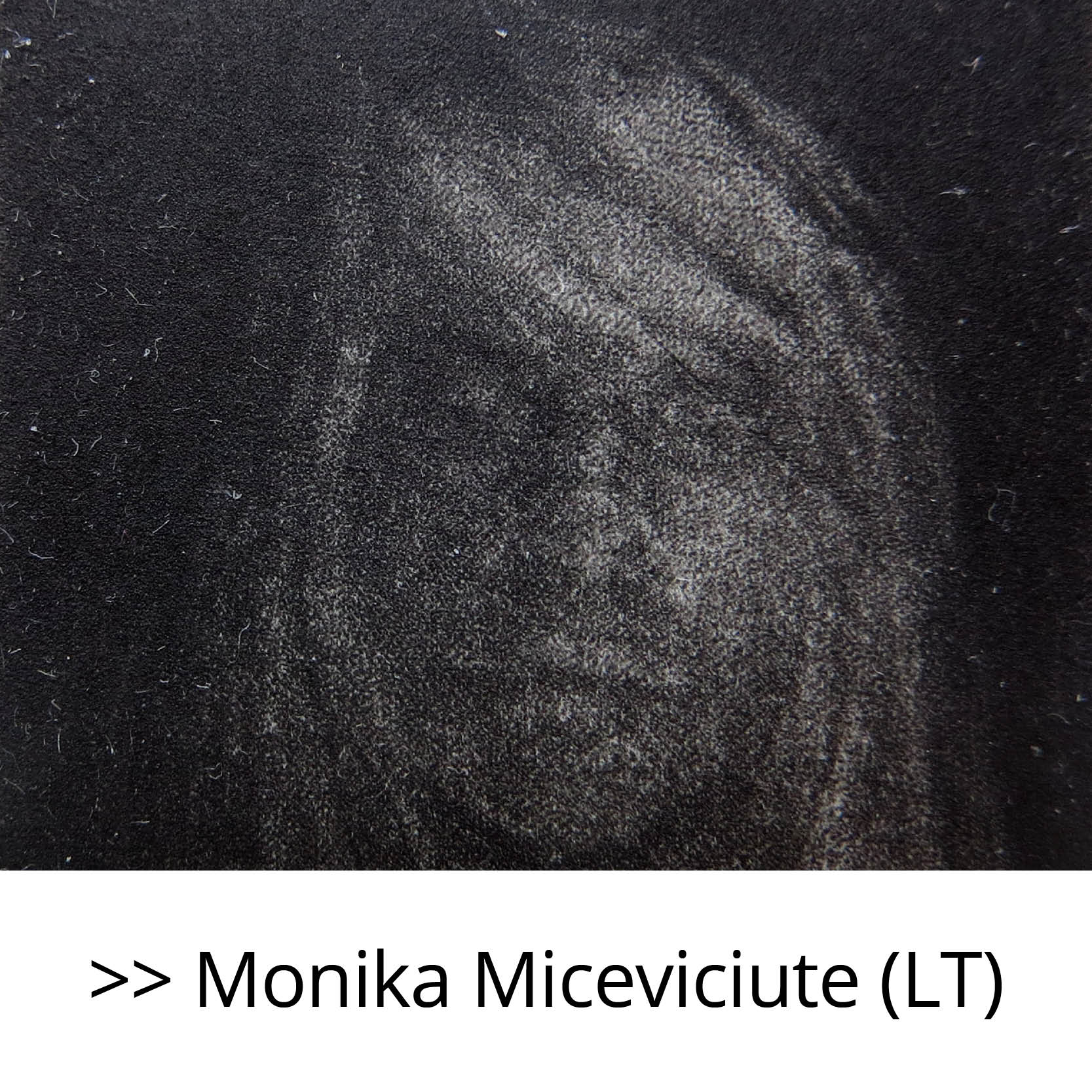 Monika_Miceviciute_(LT)