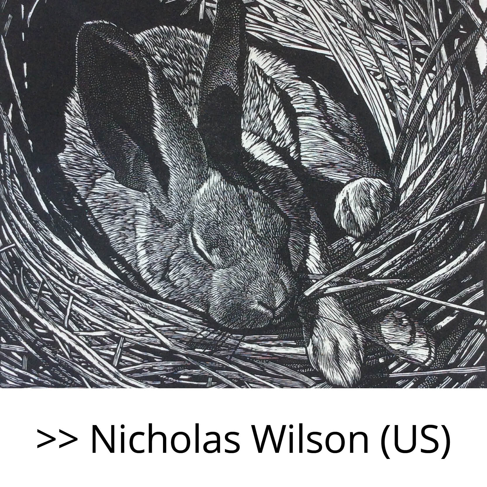 Nicholas_Wilson_(US)2
