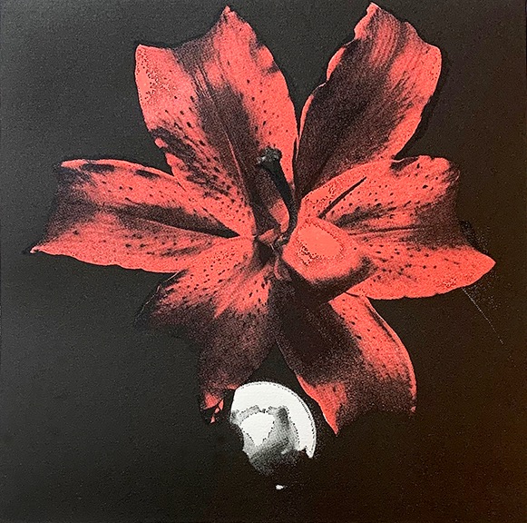 Floki Gauvry (AR) Lilium